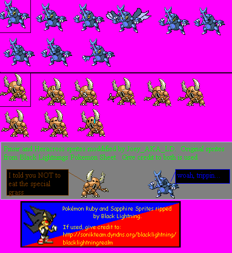 pinsirheracross.gif